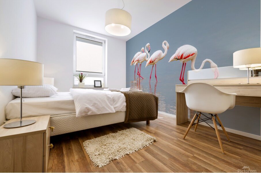 Amboseli Flamingos Mural print