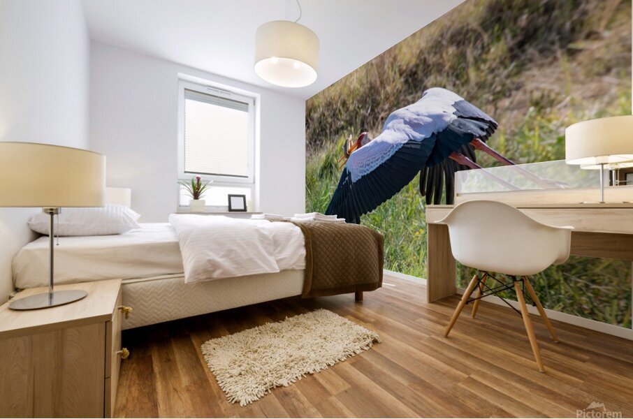 Yellow-billed Stork Mural print