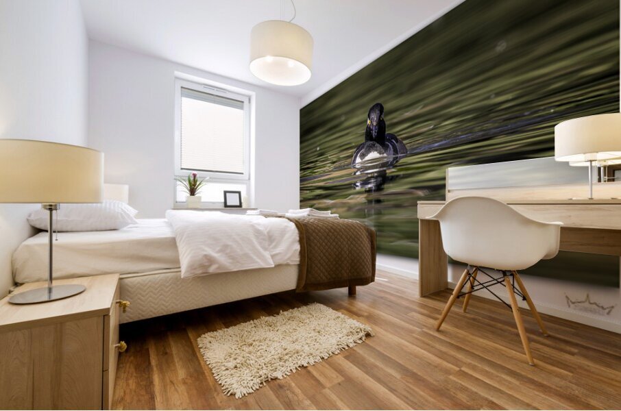 Merganser Portrait Mural print
