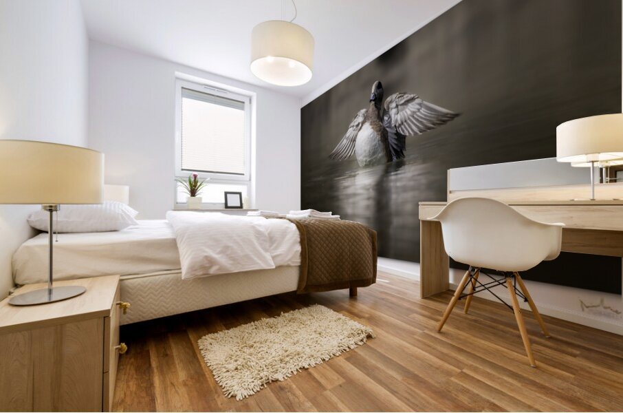 A Wigeon Gets His Wings Mural print