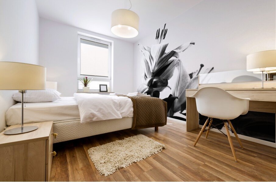  Black and White Lilies                                                                                                                     Mural print