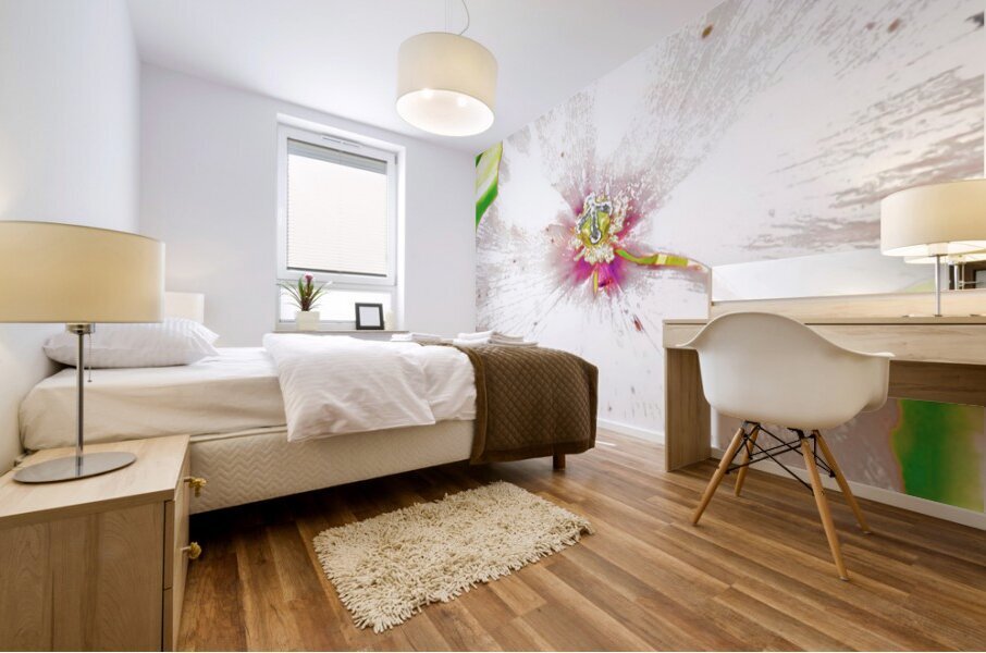 Abstract White Wild Poppy  Mural print