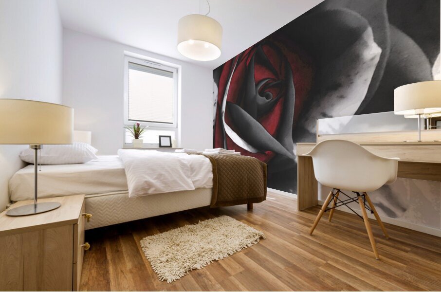 Abstract Dramatic Monochrome Rose Mural print