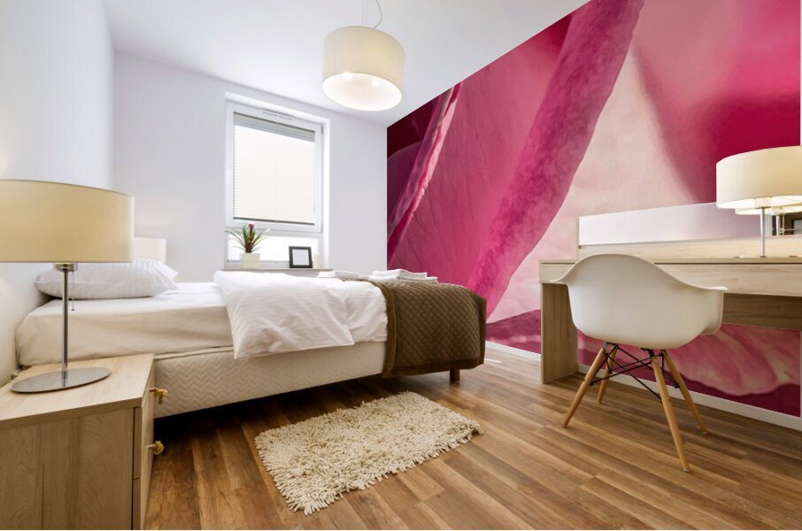 Delicate Pink Rose Mural print