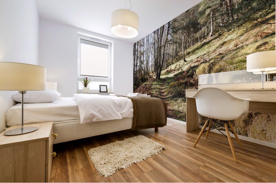 Early April in the Scottish Highlands                                                                                                                   Mural print