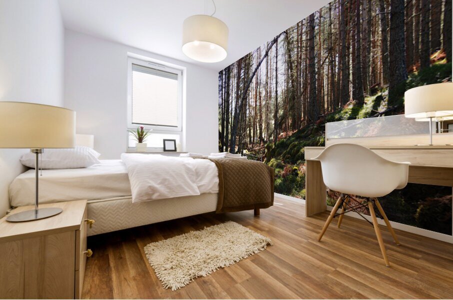   Fairy Dell in the Scottish Highlands                                                                                                                    Mural print