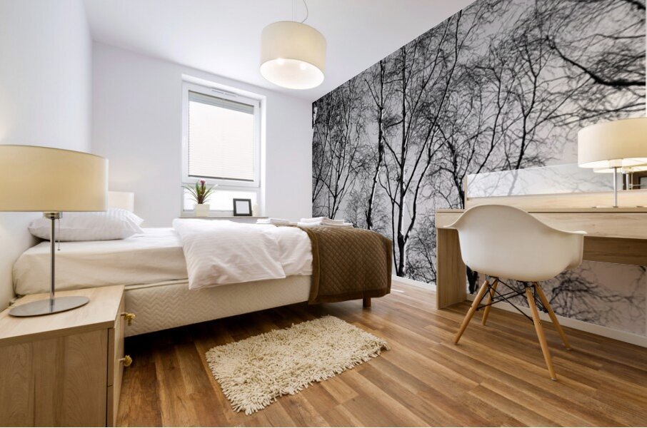  Scottish Highlands Monochrome Trees                                                                                                                    Mural print