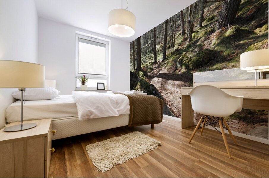   Scottish Highlands Spring Sunlight                                                                                                                    Mural print