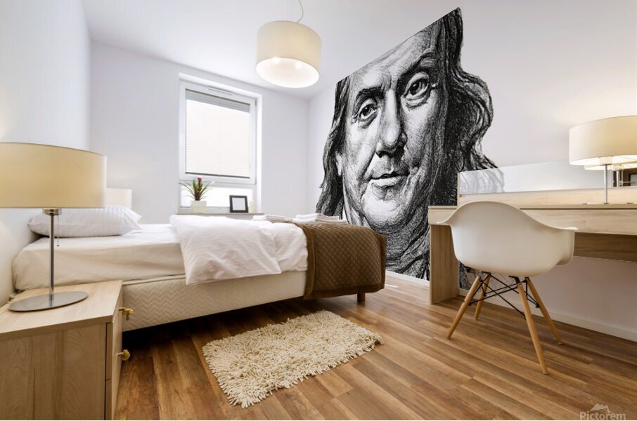 ArtX 26 benjamin franklin Mural print