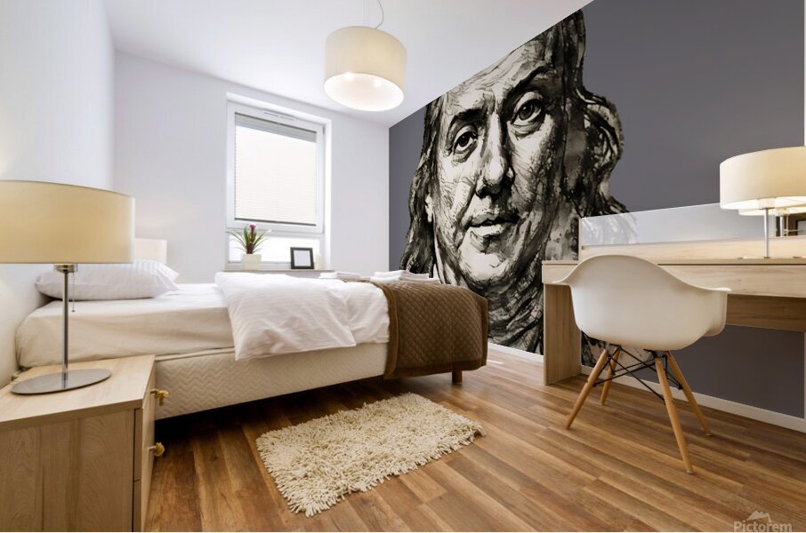 ArtX 526 benjamin franklin Mural print