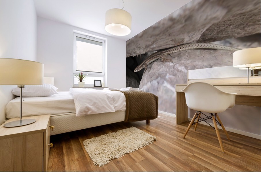 A.P.Polo - Pyrenees Mural print