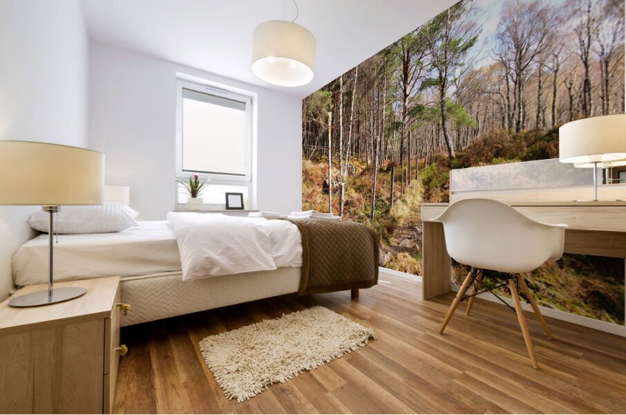 Scottish Highlands Spring Ramble                                                                                                                    Mural print