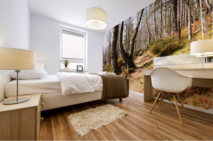 Natures Spring Caress for the Scottish Highlands                                                                                                                      Mural print