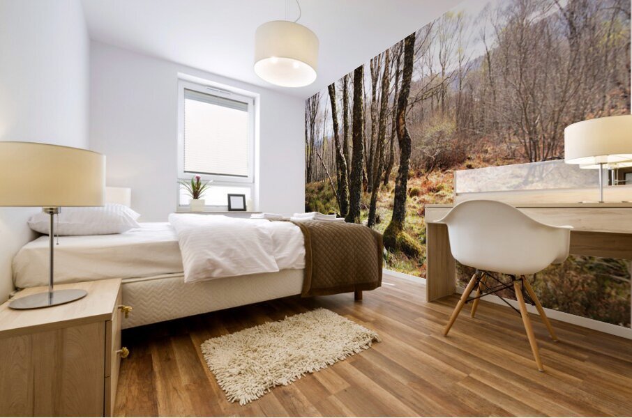 Springs Hello for the Scottish Highlands                                                                                                                      Mural print