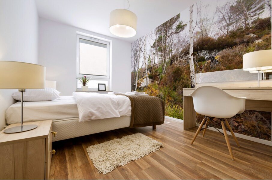   Fairies Delight in the Scottish Highlands                                                                                                                    Mural print