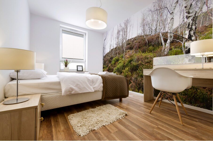  Fairies Wishes in the Scottish Highlands                                                                                                                    Mural print