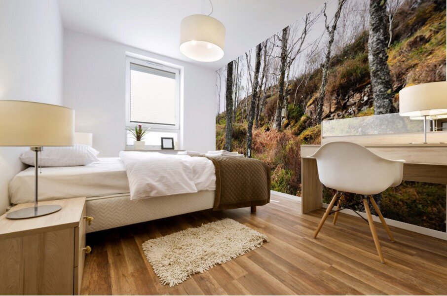  Springs Fairy Dance in the Scottish Highlands                                                                                                                     Mural print