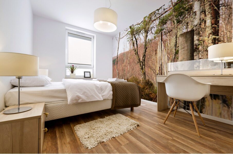 The Divide in the Scottish Highlands                                                                                                                      Mural print