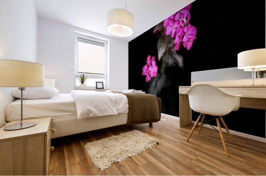 Portrait of Plants- Colour Out of Darkness Mural print