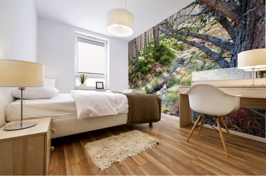 Scenes from the Trail- The Fairies Path                                                                                                                      Mural print