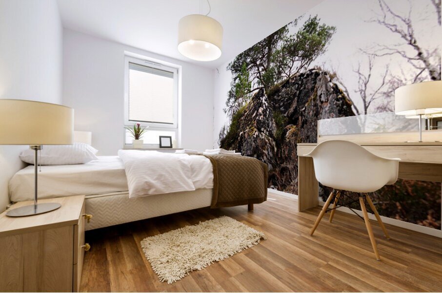 Scenes from the Trail- Rock Hard Pine                                                                                                                       Mural print