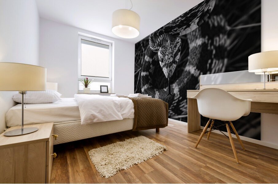 Ready to Strike Mural print