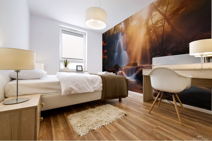 Golden rays Mural print