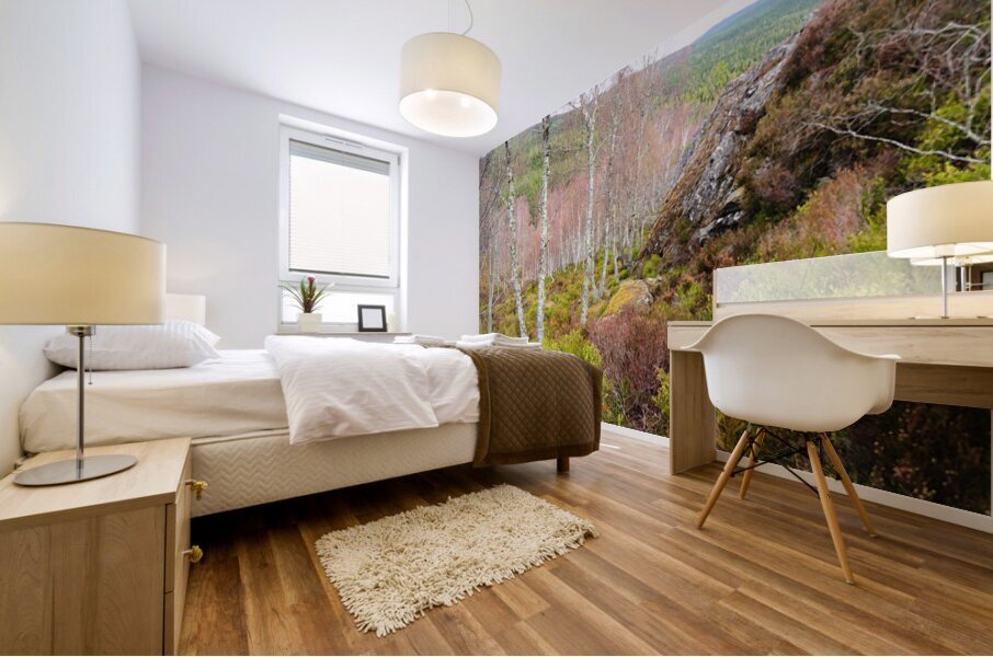  Natures Spring Song for the Scottish Highlands                                                                                                                    Mural print