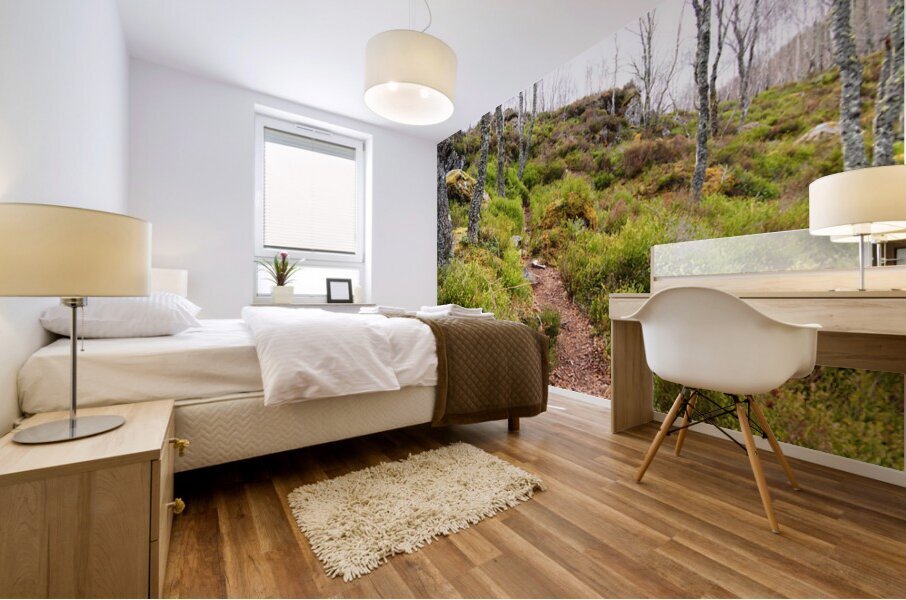    Spring Nature Path Through The Scottish Highlands                                                                                                                    Mural print