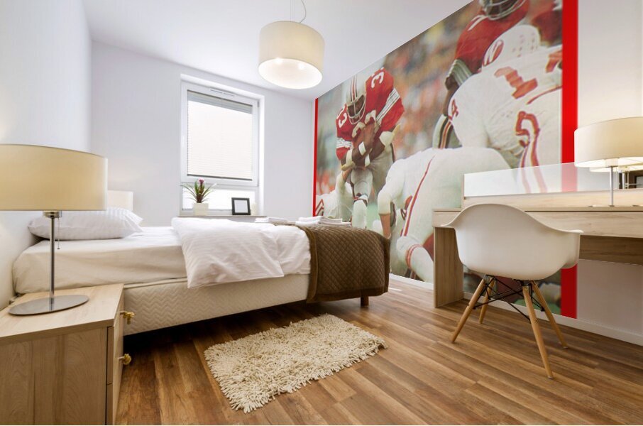 1975 Pete Johnson Ohio State Football Art Mural print