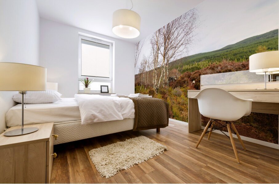  Spring Nature Landscape in the Scottish Highlands                                                                                                                     Mural print