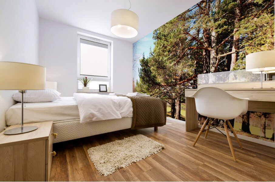   Springs Nature Delight in the Scottish Highlands                                                                                                                    Mural print