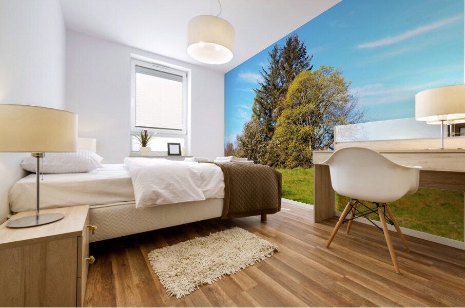 Scottish Highlands Spring Trees                                                                                                                      Mural print