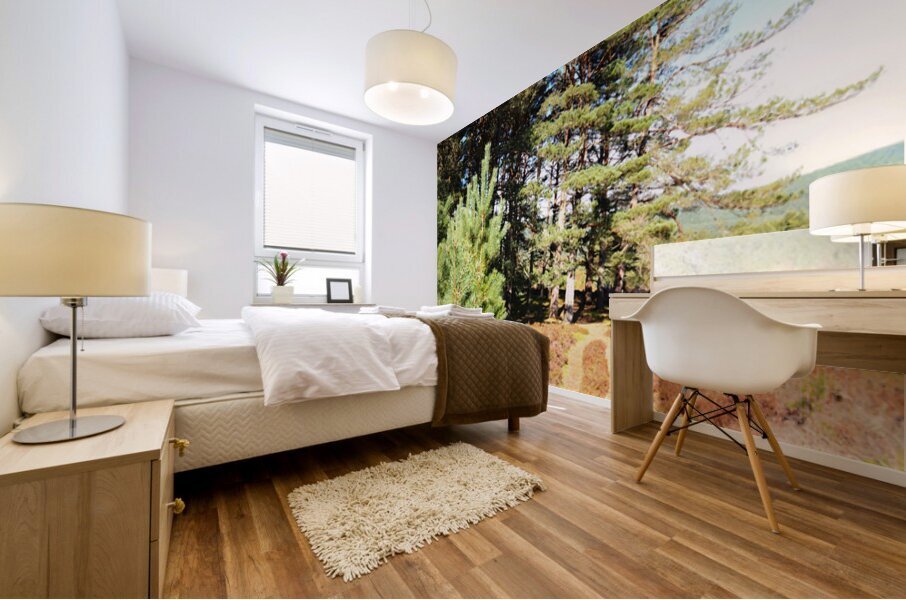 Springs Sunshine for the Scottish Highlands                                                                                                                      Mural print