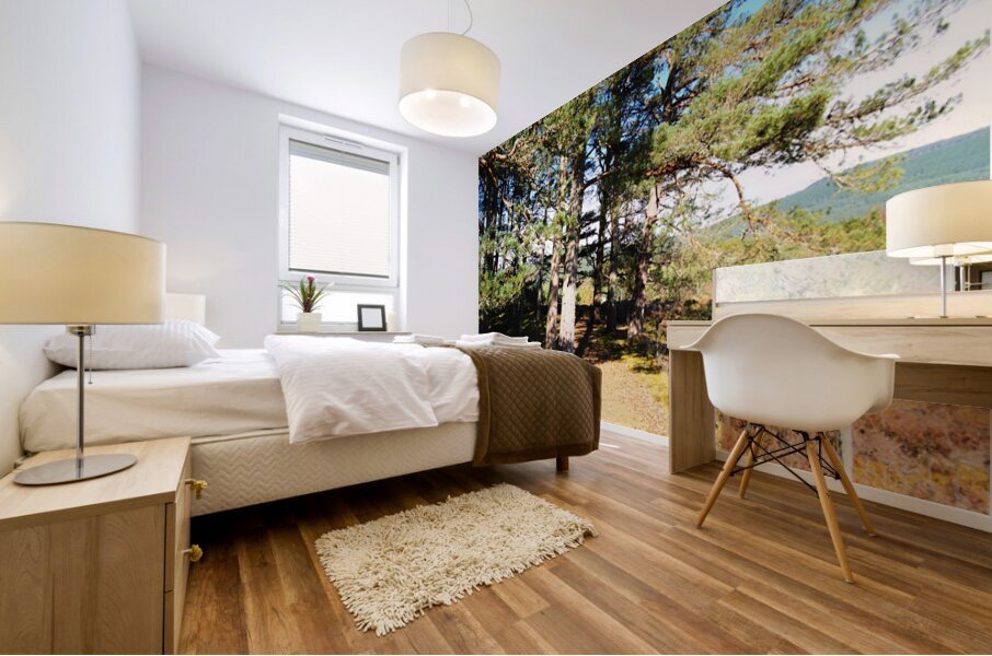  Scottish Highlands in the Spring                                                                                                                     Mural print