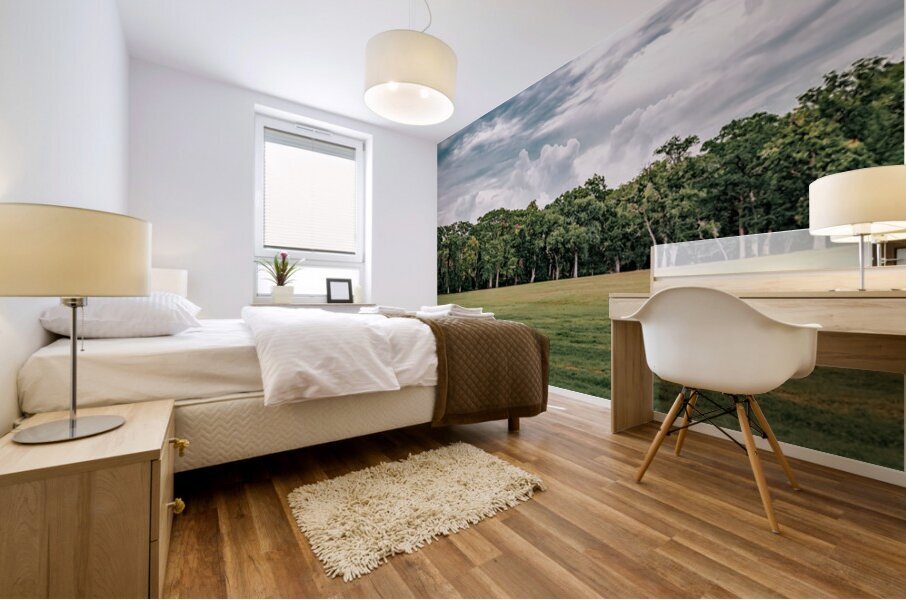 Cypress Bend Skyline Mural print