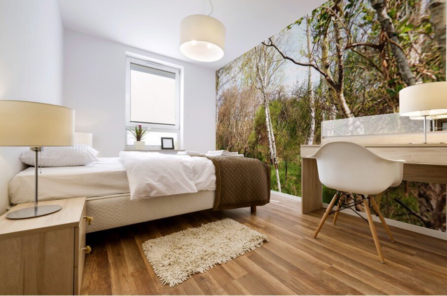 Natures Path Through the Scottish Highlands                                                                                                                    Mural print