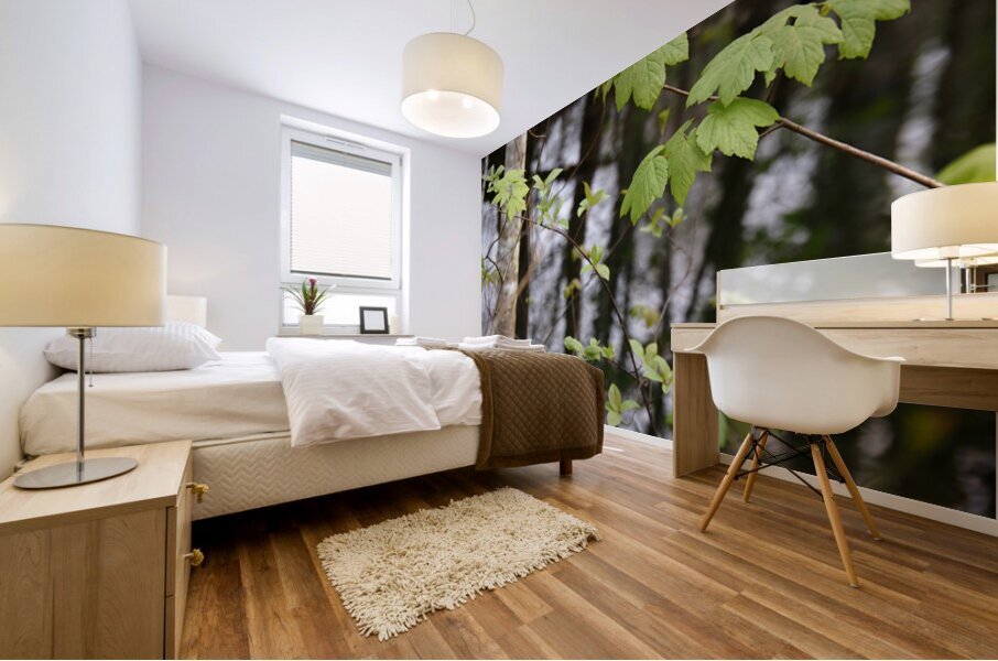   Scottish Highlands Leaves Reflections                                                                                                                     Mural print