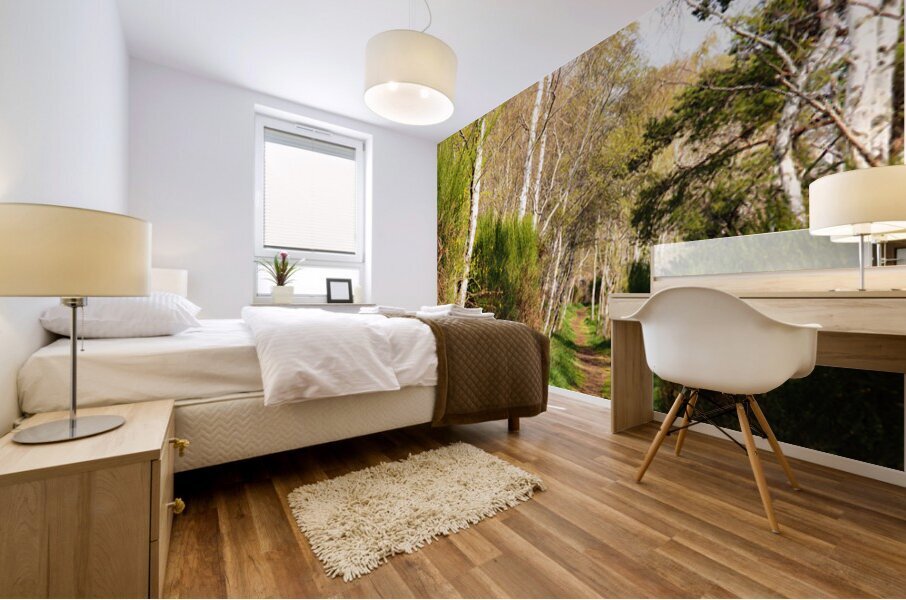 Spring Forest Path in the Scottish Highlands                                                                                                                       Mural print