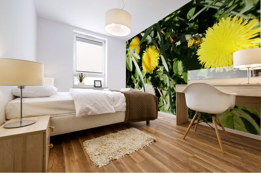  Dandelions Life in the Scottish Highlands                                                                                                                     Mural print
