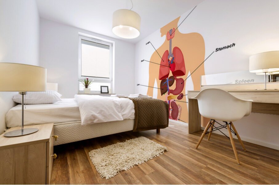 Internal organs of human body Mural print
