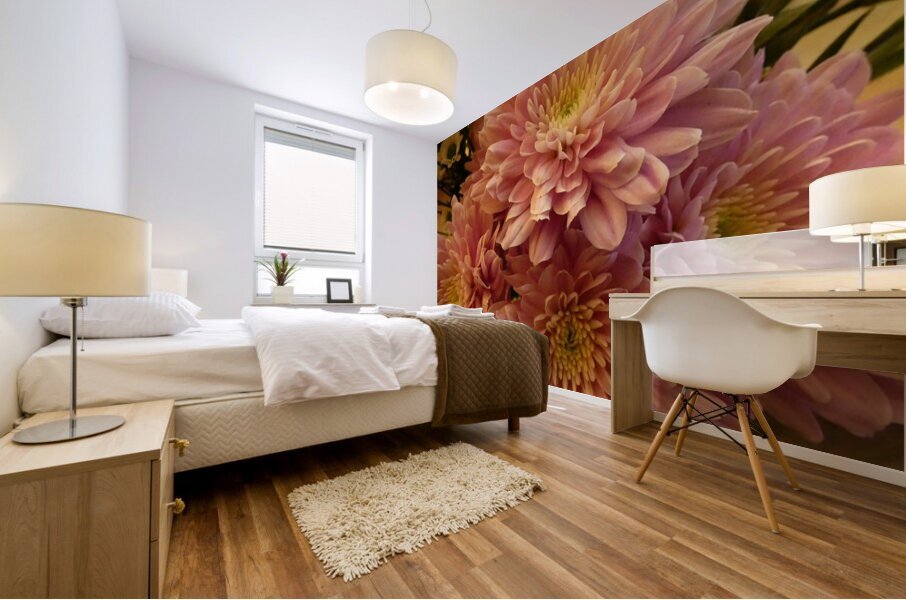 Impressionistic Pink Chrysanthemums  Mural print