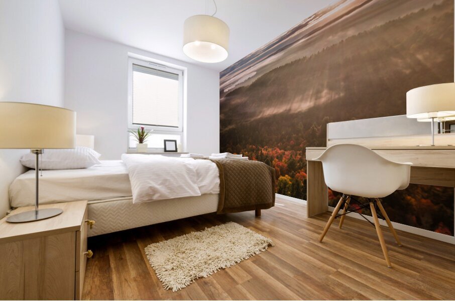 Canadian Autumn - 1 Mural print