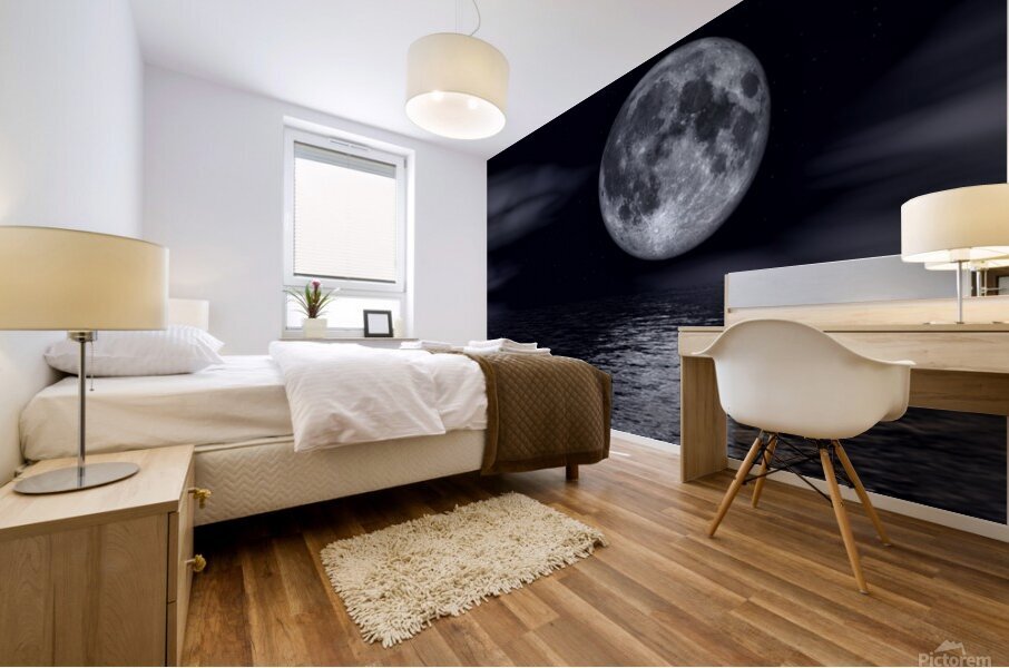 Full Moon Night Mural print