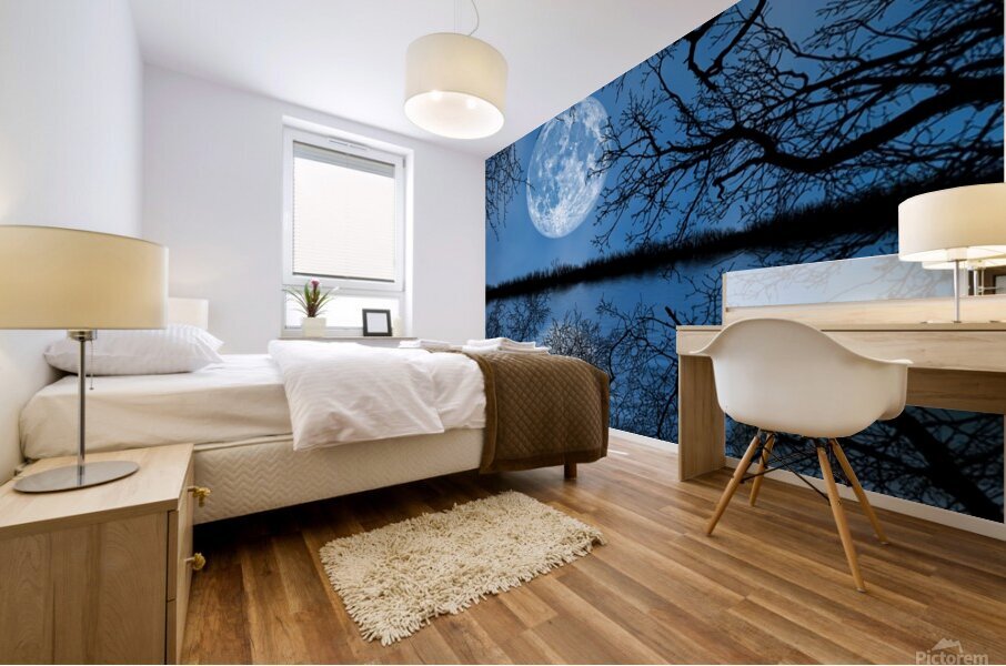 Eerie Moon Over Water Mural print