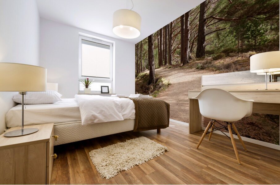 Scenes from the Trail-Summer Path Mural print