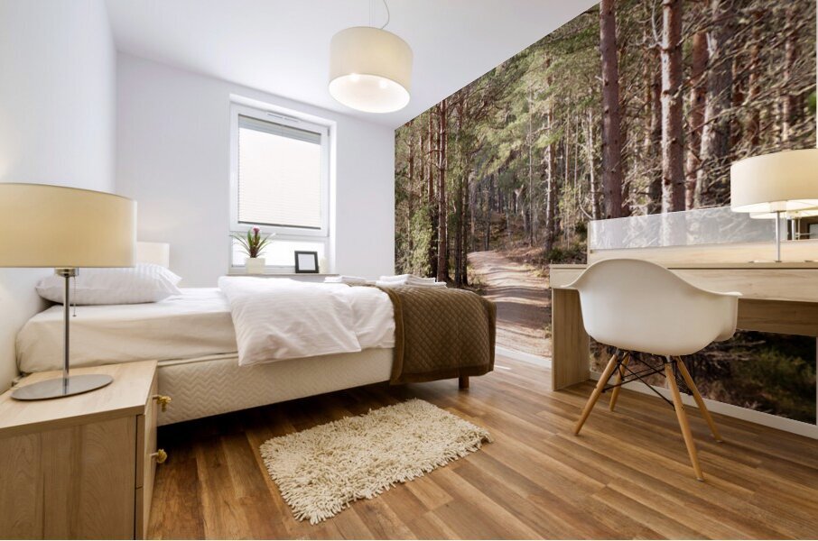  Tranquil Forest Path Through the Scottish Highlands Mural print