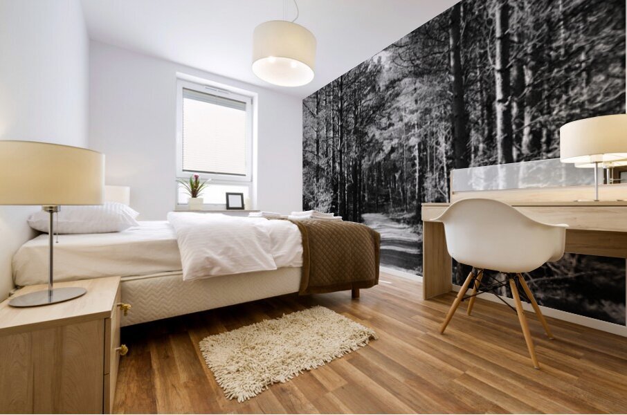 Scottish Highlands Forest Path in Black and White Mural print