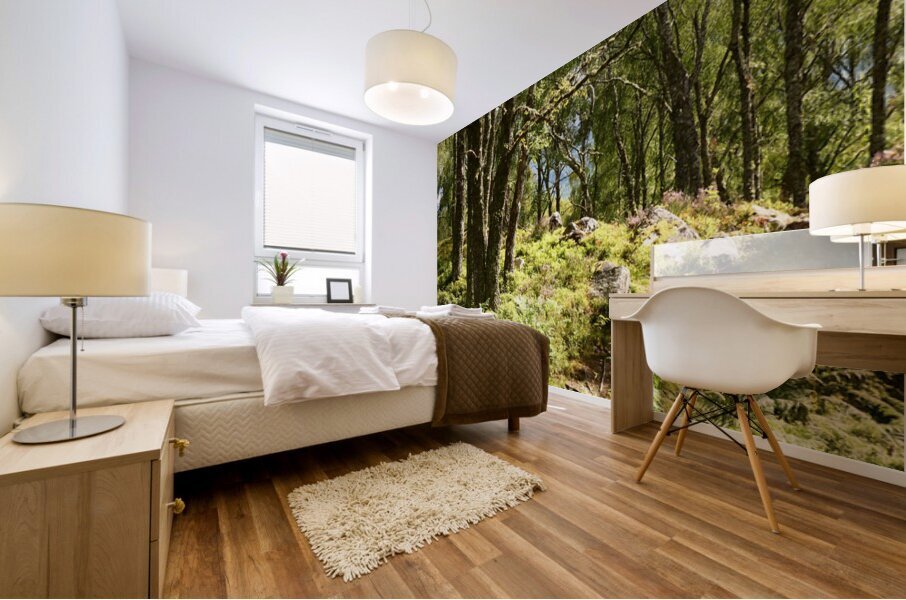 Sunlight Path Through the Scottish Highlands Mural print