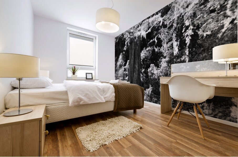 Pine Tree in Black and White Mural print